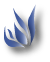 logo flower